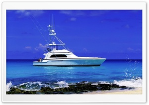 Sea Fishing Ultra HD Wallpaper for 4K UHD Widescreen desktop, tablet & smartphone