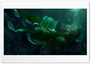 Sea Flower 4K UHD Wallpaper for Widescreen and UltraWide Desktop, UltraHD TV, Smartphone, Tablet