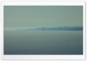 Sea of Alone Ultra HD Wallpaper for 4K UHD Widescreen desktop, tablet & smartphone