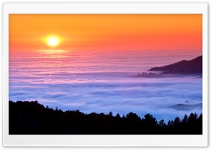 Sea Of Fog Ultra HD Wallpaper for 4K UHD Widescreen desktop, tablet & smartphone
