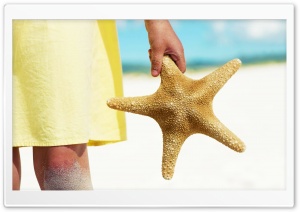 Sea Star Ultra HD Wallpaper for 4K UHD Widescreen desktop, tablet & smartphone