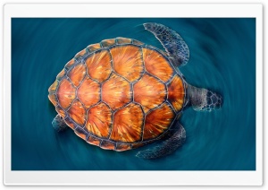 Sea Turtle Ultra HD Wallpaper for 4K UHD Widescreen desktop, tablet & smartphone