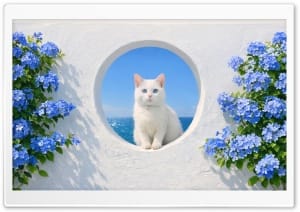 Sea View Window with White Cat and Blue Plumbago Flowers 4K UHD Wallpaper for Widescreen and UltraWide Desktop, UltraHD TV, Smartphone, Tablet