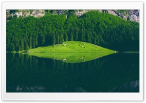 Seealpsee Lake, Switzerland Ultra HD Wallpaper for 4K UHD Widescreen desktop, tablet & smartphone