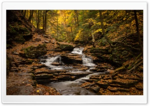 Seneca Falls, Ricketts Glen State Park, PA 4K UHD Wallpaper for Widescreen and UltraWide Desktop, UltraHD TV, Smartphone, Tablet