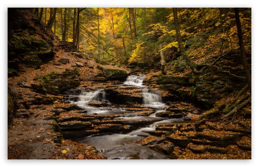 Seneca Falls, Ricketts Glen State Park, PA UltraHD Wallpaper for UHD 16:9 ; HD 16:9 ; UltraWide 21:9 24:10 ; Widescreen 16:10 5:3 ; Fullscreen 4:3 5:4 3:2 ; Tablet 1:1 ; Mobile 9:16 9:19.5 9:20 9:21 9:22 10:16 2:3 3:5 3:4 ;