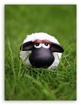 Shaun The Sheep Movie Wallpapers Pictures Images