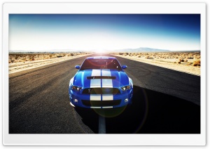 Shelby Ultra HD Wallpaper for 4K UHD Widescreen desktop, tablet & smartphone