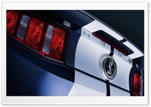 Shelby Rear Lights Ultra HD Wallpaper for 4K UHD Widescreen desktop, tablet & smartphone