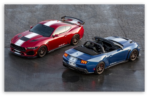 Shelby Super Snake Cars UltraHD Wallpaper for UHD 16:9 ; HD 16:9 ; UltraWide 21:9 24:10 ; Widescreen 16:10 ;