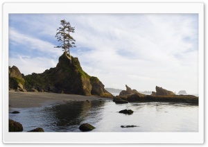 Shi Shi Beach Olympic Peninsula Washington Ultra HD Wallpaper for 4K UHD Widescreen Desktop, Lockscreen, Screensaver, TV, Tablet, Smartphone