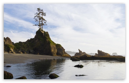 Shi Shi Beach Olympic Peninsula Washington UltraHD Wallpaper for 8K UHD TV 16:9 Ultra High Definition 2160p 1440p 1080p 900p 720p ; Widescreen 16:10 5:3 WHXGA WQXGA WUXGA WXGA WGA ; Fullscreen 4:3 5:4 3:2 UXGA XGA SVGA QSXGA SXGA DVGA HVGA HQVGA ( Apple PowerBook G4 iPhone 4 3G 3GS iPod Touch ) ; Tablet 1:1 ; Mobile 3:5 3:4 - ;