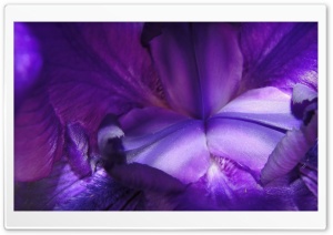 Shining Bright 4K UHD Wallpaper for Widescreen and UltraWide Desktop, UltraHD TV, Smartphone, Tablet