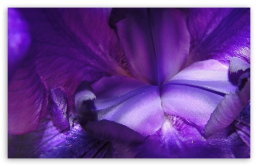 Shining Bright UltraHD Wallpaper for HD 16:9 ; Widescreen 16:10 5:3 ; Fullscreen 4:3 ;