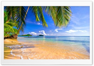 Shore Palms Tropical Beach Ultra HD Wallpaper for 4K UHD Widescreen desktop, tablet & smartphone
