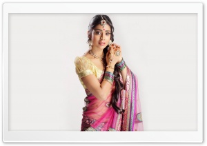 Shriya Saran in Saree Ultra HD Wallpaper for 4K UHD Widescreen desktop, tablet & smartphone