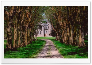 Sibiril Chateau Finistere Brittany Tree Lined Avenue 4K UHD Wallpaper for Widescreen and UltraWide Desktop, UltraHD TV, Smartphone, Tablet