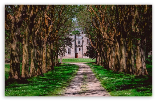Sibiril Chateau Finistere Brittany Tree Lined Avenue UltraHD Wallpaper for UHD 16:9 ; HD 16:9 ; UltraWide 21:9 24:10 32:9 32:10 ; Widescreen 16:10 ; Tablet 1:1 ; Dual 16:10 16:9 ;