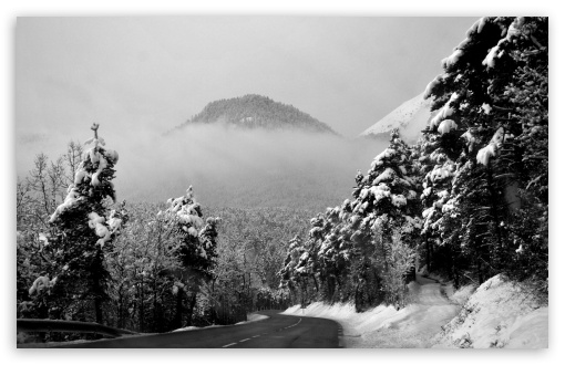 Silence And Stillness On A Winter Road UltraHD Wallpaper for Wide 16:10 5:3 Widescreen WHXGA WQXGA WUXGA WXGA WGA ; 8K UHD TV 16:9 Ultra High Definition 2160p 1440p 1080p 900p 720p ; Standard 4:3 5:4 3:2 Fullscreen UXGA XGA SVGA QSXGA SXGA DVGA HVGA HQVGA ( Apple PowerBook G4 iPhone 4 3G 3GS iPod Touch ) ; Tablet 1:1 ; iPad 1/2/Mini ; Mobile 4:3 5:3 3:2 16:9 5:4 - UXGA XGA SVGA WGA DVGA HVGA HQVGA ( Apple PowerBook G4 iPhone 4 3G 3GS iPod Touch ) 2160p 1440p 1080p 900p 720p QSXGA SXGA ;