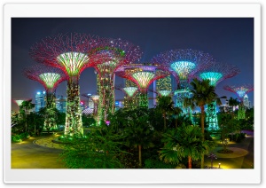 Singapore Supertree Grove At Night View 4K UHD Wallpaper for Widescreen and UltraWide Desktop, UltraHD TV, Smartphone, Tablet