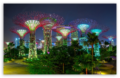 Singapore Supertree Grove At Night View UltraHD Wallpaper for UHD 16:9 ; HD 16:9 ; UltraWide 21:9 24:10 32:9 32:10 ; Widescreen 16:10 5:3 ; Fullscreen 4:3 5:4 3:2 ; Tablet 1:1 ; Mobile 9:16 ; Dual 16:10 5:3 16:9 4:3 5:4 3:2 ;