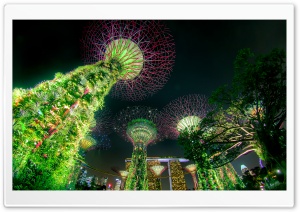 Singapore Supertree Grove Green Night Lights 4K UHD Wallpaper for Widescreen and UltraWide Desktop, UltraHD TV, Smartphone, Tablet