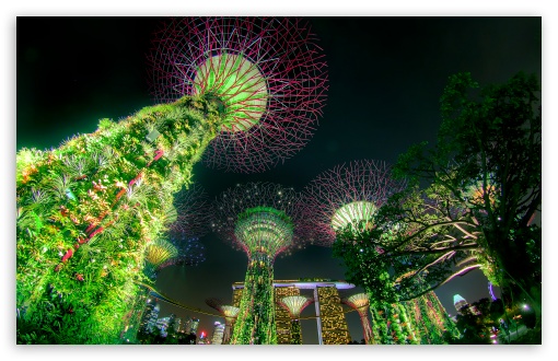 Singapore Supertree Grove Green Night Lights UltraHD Wallpaper for UHD 16:9 ; HD 16:9 ; UltraWide 21:9 24:10 ; Widescreen 16:10 5:3 ; Fullscreen 4:3 5:4 3:2 ; Tablet 1:1 ; Mobile 9:16 9:19.5 9:20 9:21 9:22 10:16 2:3 3:5 3:4 ;