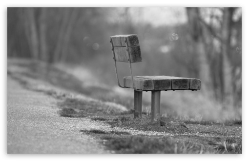 Single Bench UltraHD Wallpaper for Wide 16:10 5:3 Widescreen WHXGA WQXGA WUXGA WXGA WGA ; 8K UHD TV 16:9 Ultra High Definition 2160p 1440p 1080p 900p 720p ; Standard 4:3 5:4 3:2 Fullscreen UXGA XGA SVGA QSXGA SXGA DVGA HVGA HQVGA ( Apple PowerBook G4 iPhone 4 3G 3GS iPod Touch ) ; Tablet 1:1 ; iPad 1/2/Mini ; Mobile 4:3 5:3 3:2 16:9 5:4 - UXGA XGA SVGA WGA DVGA HVGA HQVGA ( Apple PowerBook G4 iPhone 4 3G 3GS iPod Touch ) 2160p 1440p 1080p 900p 720p QSXGA SXGA ;