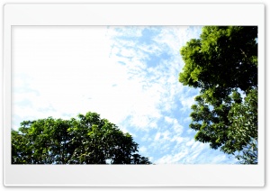Skies over Rajshahi Ultra HD Wallpaper for 4K UHD Widescreen desktop, tablet & smartphone