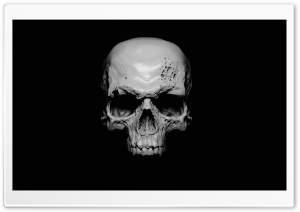 Skull Ultra HD Wallpaper for 4K UHD Widescreen desktop, tablet & smartphone