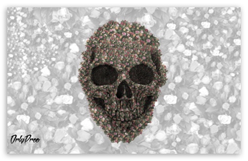 Skullroses UltraHD Wallpaper for Widescreen 16:10 WHXGA WQXGA WUXGA WXGA ;