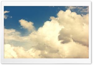 Sky and Bird Ultra HD Wallpaper for 4K UHD Widescreen desktop, tablet & smartphone
