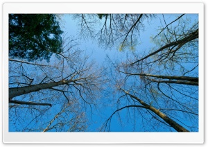 Sky Perspective View Ultra HD Wallpaper for 4K UHD Widescreen desktop, tablet & smartphone