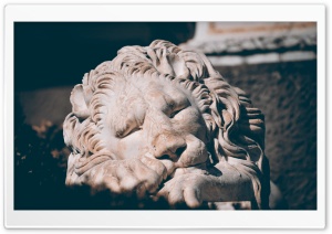 Sleeping Lion Sculpture Ultra HD Wallpaper for 4K UHD Widescreen desktop, tablet & smartphone
