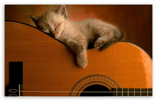 Sleeping Soundly UltraHD Wallpaper for Widescreen 16:10 ;