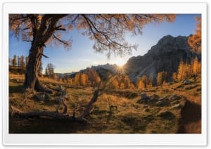 Slemenova Spica Autumn Hike Golden Larches in Slovenia 4K UHD Wallpaper for Widescreen and UltraWide Desktop, UltraHD TV, Smartphone, Tablet