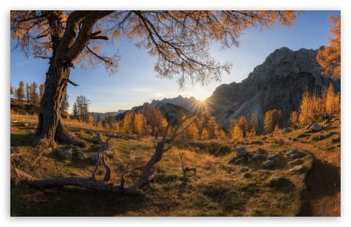 Slemenova Spica Autumn Hike Golden Larches in Slovenia UltraHD Wallpaper for UHD 16:9 ; HD 16:9 ; UltraWide 21:9 24:10 ; Widescreen 16:10 ;