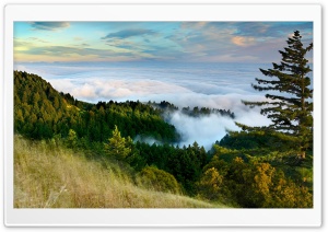 Slope Of Mountain Forest Clouds Ultra HD Wallpaper for 4K UHD Widescreen desktop, tablet & smartphone
