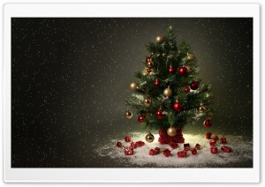 Small Christmas Tree Ultra HD Wallpaper for 4K UHD Widescreen desktop, tablet & smartphone
