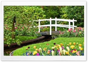 Small Garden Pond with Bridge, Spring Flowers Ultra HD Wallpaper for 4K UHD Widescreen desktop, tablet & smartphone