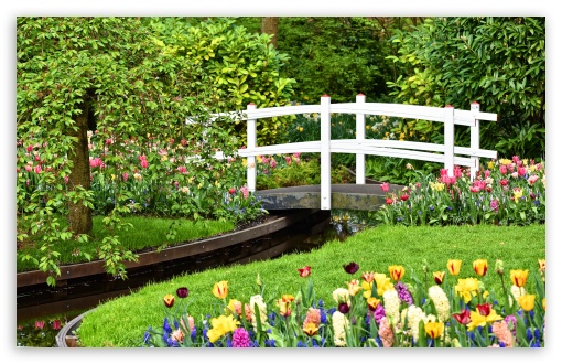 Small Garden Pond with Bridge, Spring Flowers UltraHD Wallpaper for Wide 16:10 5:3 Widescreen WHXGA WQXGA WUXGA WXGA WGA ; UltraWide 21:9 24:10 ; 8K UHD TV 16:9 Ultra High Definition 2160p 1440p 1080p 900p 720p ; UHD 16:9 2160p 1440p 1080p 900p 720p ; Standard 4:3 5:4 3:2 Fullscreen UXGA XGA SVGA QSXGA SXGA DVGA HVGA HQVGA ( Apple PowerBook G4 iPhone 4 3G 3GS iPod Touch ) ; Tablet 1:1 ; iPad 1/2/Mini ; Mobile 4:3 5:3 3:2 16:9 5:4 - UXGA XGA SVGA WGA DVGA HVGA HQVGA ( Apple PowerBook G4 iPhone 4 3G 3GS iPod Touch ) 2160p 1440p 1080p 900p 720p QSXGA SXGA ;