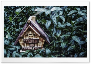 Small House Ultra HD Wallpaper for 4K UHD Widescreen desktop, tablet & smartphone