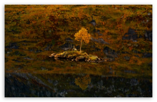 Small Rocky Isle, Lone Birch Tree, Lake UltraHD Wallpaper for UHD 16:9 ; HD 16:9 ; UltraWide 21:9 24:10 32:9 32:10 ; Widescreen 16:10 5:3 ; Fullscreen 4:3 5:4 3:2 ; Tablet 1:1 ; Mobile 9:16 9:19.5 9:20 9:21 9:22 10:16 2:3 3:5 3:4 ; Dual 16:10 5:3 16:9 4:3 5:4 3:2 ;