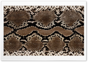 Snake Leather Ultra HD Wallpaper for 4K UHD Widescreen desktop, tablet & smartphone