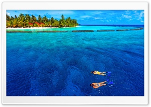 Snorkeling Vacation Ultra HD Wallpaper for 4K UHD Widescreen desktop, tablet & smartphone