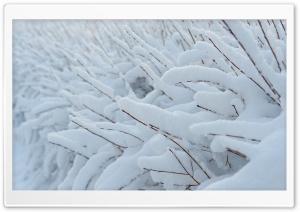 Snow Ultra HD Wallpaper for 4K UHD Widescreen desktop, tablet & smartphone