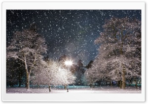 Snow At Night Ultra HD Wallpaper for 4K UHD Widescreen desktop, tablet & smartphone