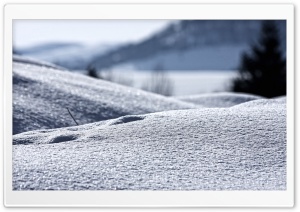 Snow, Close Up Ultra HD Wallpaper for 4K UHD Widescreen desktop, tablet & smartphone