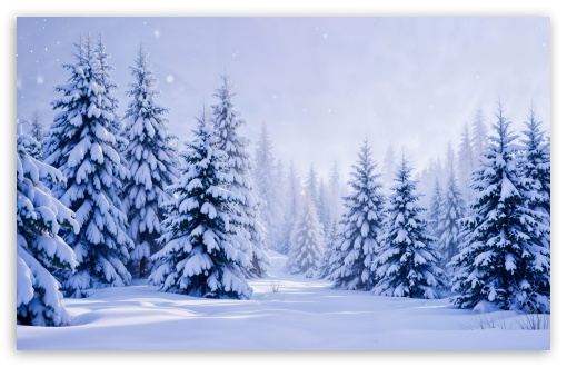 Snow Covered Mountain Forest UltraHD Wallpaper for UHD 16:9 ; HD 16:9 ; UltraWide 21:9 24:10 32:9 32:10 ; Widescreen 16:10 5:3 ; Fullscreen 4:3 5:4 3:2 ; Tablet 1:1 ; Mobile 9:16 9:19.5 9:20 9:21 9:22 10:16 2:3 3:5 3:4 ; Dual 16:10 5:3 16:9 4:3 5:4 3:2 ;