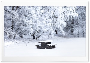 Snow Covered Picnic Table, Bench, Trees, Winter Ultra HD Wallpaper for 4K UHD Widescreen desktop, tablet & smartphone